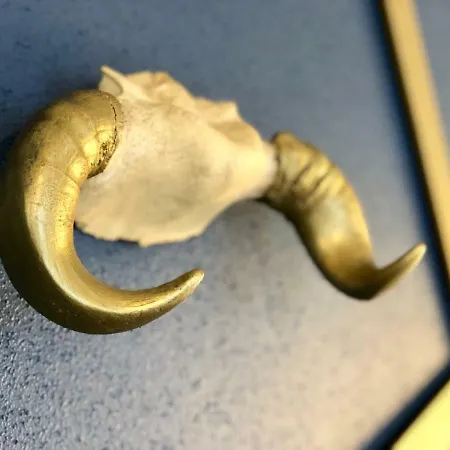 Le 13 - 3min De Colmar Centre Апартаменты Horbourg